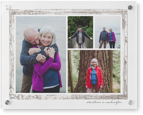 Brushed Border Collage Of Four Wall Art, Single piece, Acrylic, 16x20, Brown, taupe