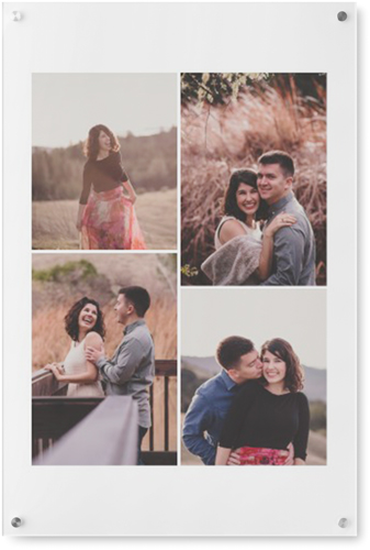 Four Winds Wall Art, Single piece, Acrylic, 24x36, White, white