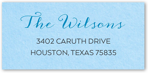 Little Introduction Boy Address Label by Blonde Designs | Shutterfly