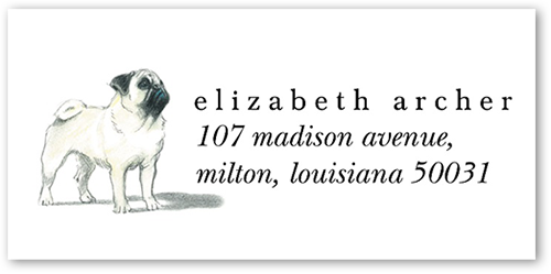 Pug Dog Love Address Label, White, Address Label, Matte, White