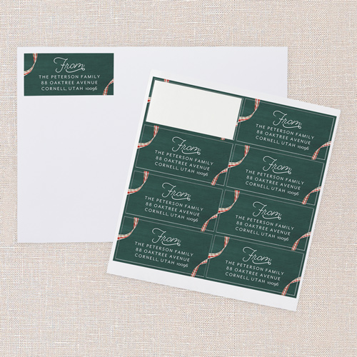 Remarkable Ribbon Address Label by Petite Lemon | Shutterfly