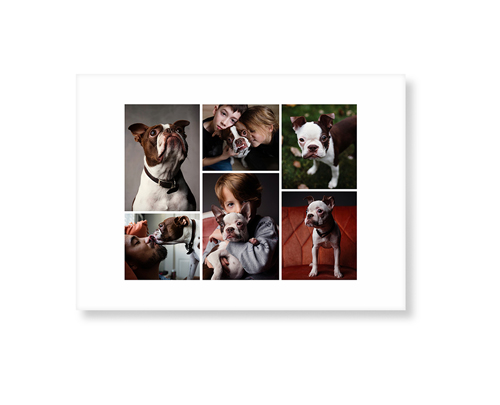 Gallery of Six Art Print, No Frame, Signature Card Stock, 5x7multi