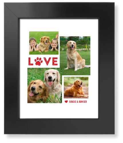 Pet Framed Art