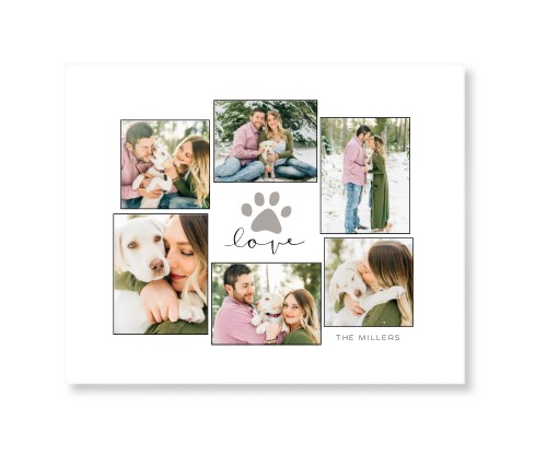 Rustic Paw Collage Art Print, No Frame, Signature Card Stock, 8x10black