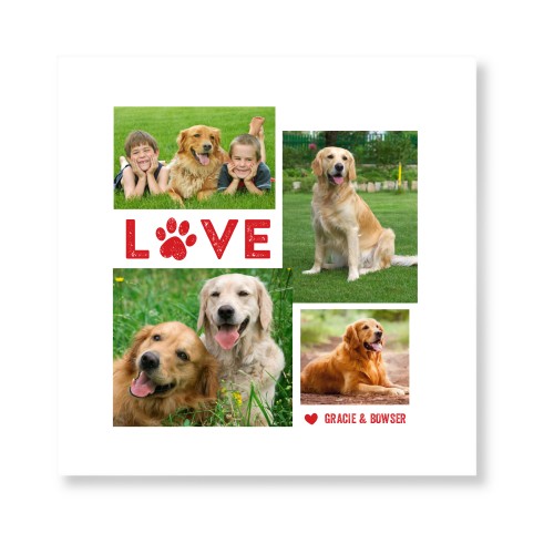 Pet Love Art Print