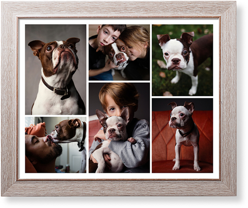 Gallery of Six Art Print, Rustic, Signature Card Stock, 16x20, Multicolor, multi