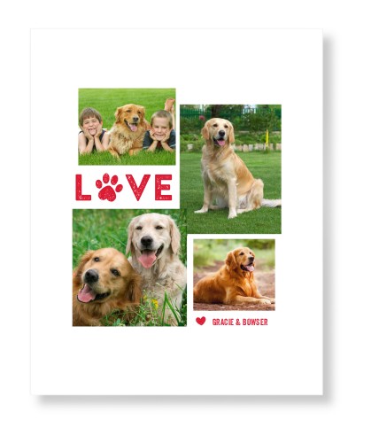 Pet Love Art Print, No Frame, Signature Card Stock, 16x20white