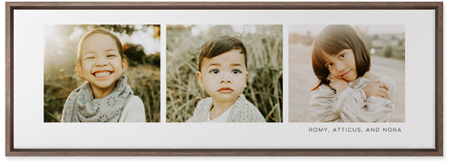 Three Of A Kind Wall Art, Walnut, Single piece, Canvas, 12x36, Multicolor, multi