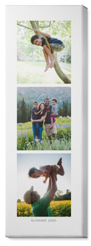 Three of a Kind Portrait Wall Art, No Frame, Single piece, Canvas, 12x36, Multicolor, multi