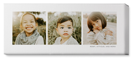 Three Of A Kind Wall Art, No Frame, Single piece, Canvas, 10x24, Multicolor