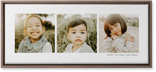 Three Of A Kind Wall Art, Walnut, Single piece, Canvas, 10x24, Multicolor
