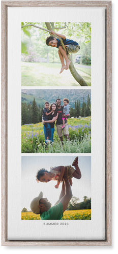 Three of a Kind Portrait Wall Art, Rustic, Single piece, Canvas, 10x24, Multicolor