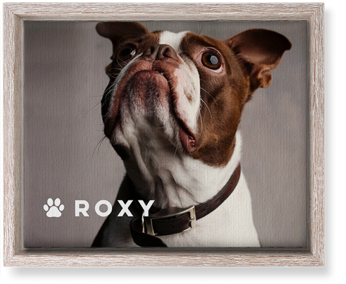 Portrait of a Pet Wall Art, Rustic, Single piece, Canvas, 8x10, White