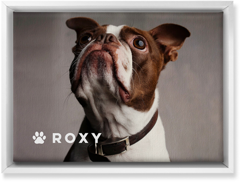 Portrait of a Pet Wall Art, White, Single piece, Canvas, 10x14, White, white