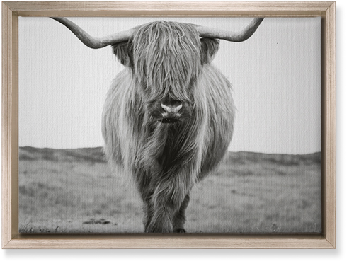 Highland Cattle Wall Art, Metallic, Single piece, Canvas, 10x14, Multicolor