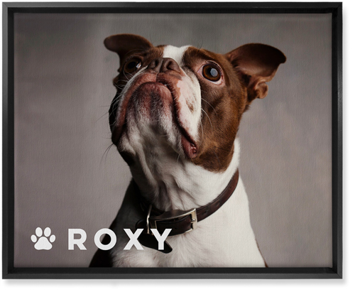 Portrait of a Pet Wall Art, Black, Single piece, Canvas, 16x20, White, white