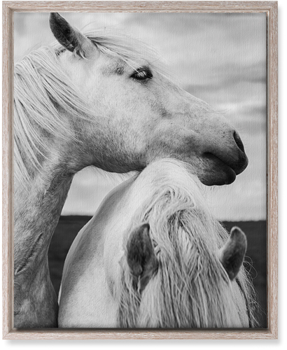 Black and White Horses Wall Art, Rustic, Single piece, Canvas, 16x20, Multicolor