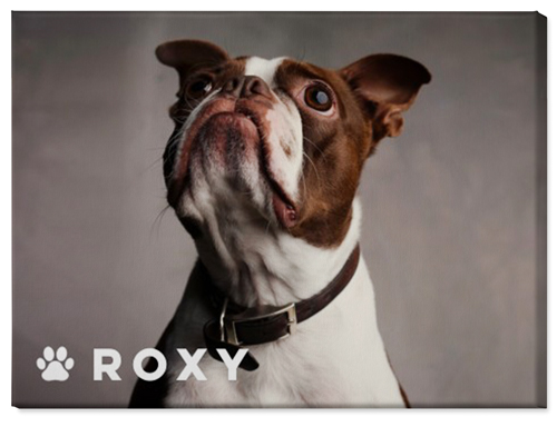 Portrait of a Pet Wall Art, No Frame, Single piece, Canvas, 30x40, White