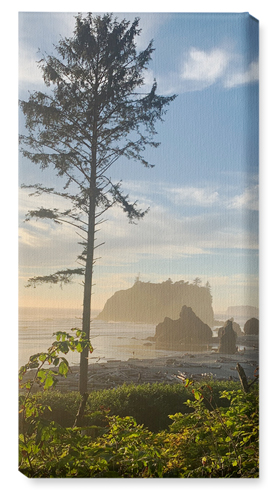 Photo Gallery Pano Portrait Wall Art, No Frame, Single piece, Canvas, 10x20, Multicolor, multi