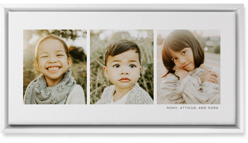 Three Of A Kind Wall Art, White, Single piece, Canvas, 10x20, Multicolor, multi