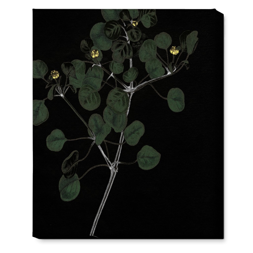 Midnight Botanical Sprig With Leaves - Black and Green Wall Art, No Frame, Single piece, Canvas, 16x20, Black