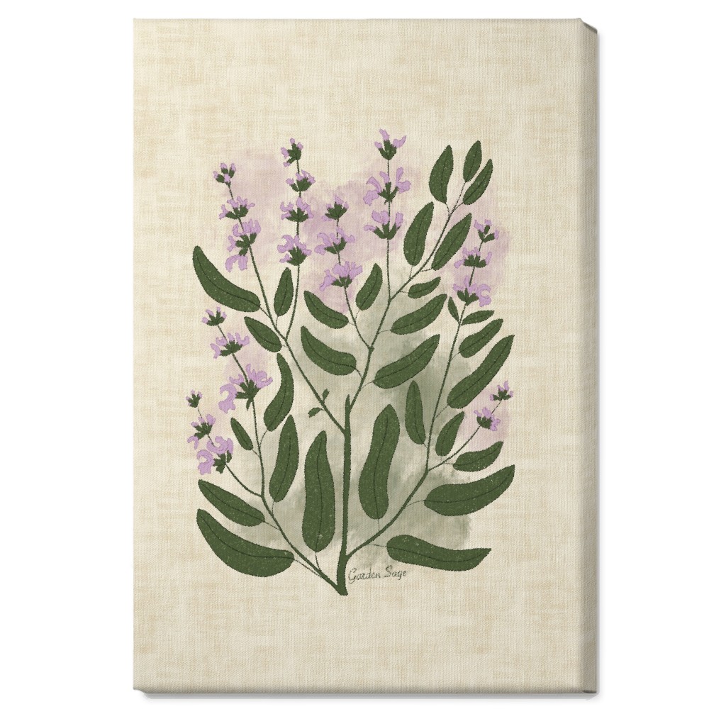 Garden Sage Botanical Illustration Wall Art, No Frame, Single piece, Canvas, 20x30, Beige, Pearl