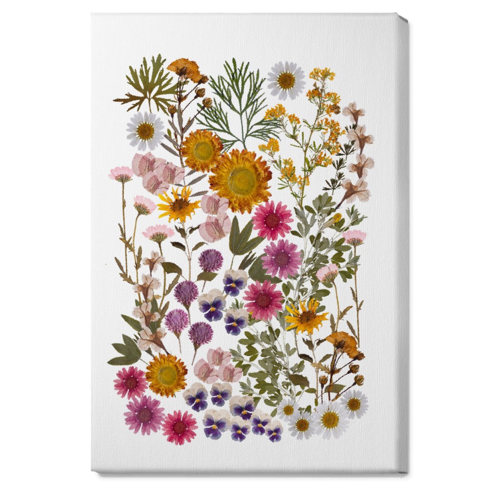 Pressed Flowers on White Wall Art, No Frame, Single piece, Canvas, 20x30, Multicolor