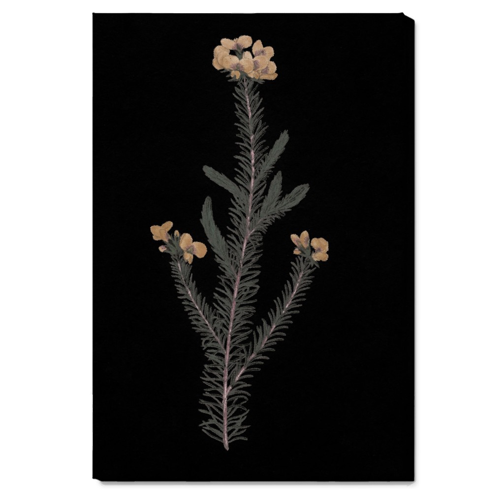 Midnight Botanical - Black and Green Wall Art, No Frame, Single piece, Canvas, 20x30, Black