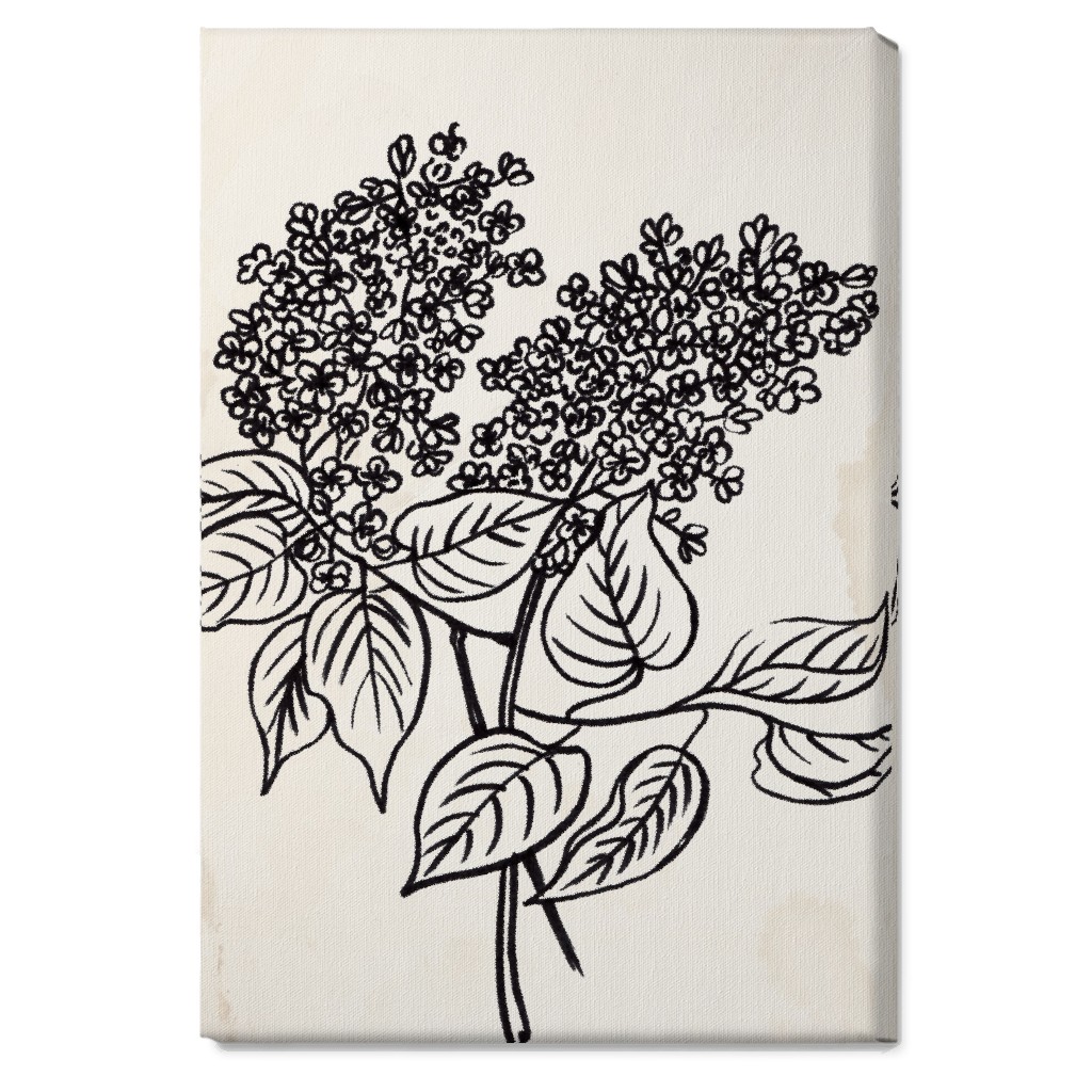 Vintage Lilac Sketch - Beige and Black Wall Art, No Frame, Single piece, Canvas, 20x30, Beige, Pearl