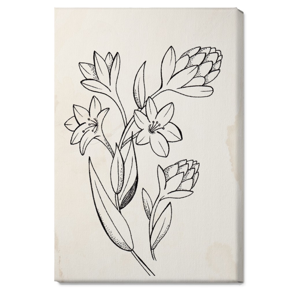 Vintage Tuberose Sketch - Beige and Black Wall Art, No Frame, Single piece, Canvas, 20x30, Beige, Pearl