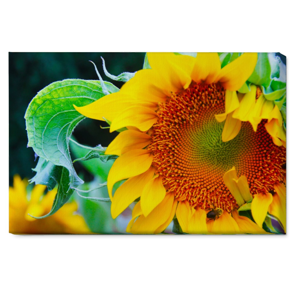 Big Sunflower - Yellow Wall Art, No Frame, Single piece, Canvas, 20x30, Yellow