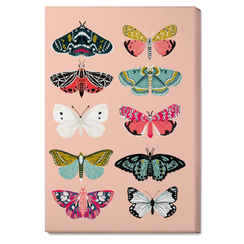 Moths & Butterflies Botanic Nature - Multi on Pink Wall Art, No Frame, Single piece, Canvas, 20x30, Multicolor