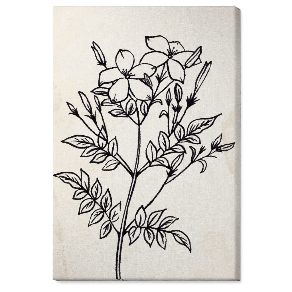 Vintage Jasmine Sketch - Beige and Black Wall Art, No Frame, Single piece, Canvas, 24x36, Beige