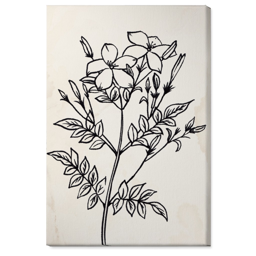 Vintage Jasmine Sketch - Beige and Black Wall Art, No Frame, Single piece, Canvas, 24x36, Beige, Pearl