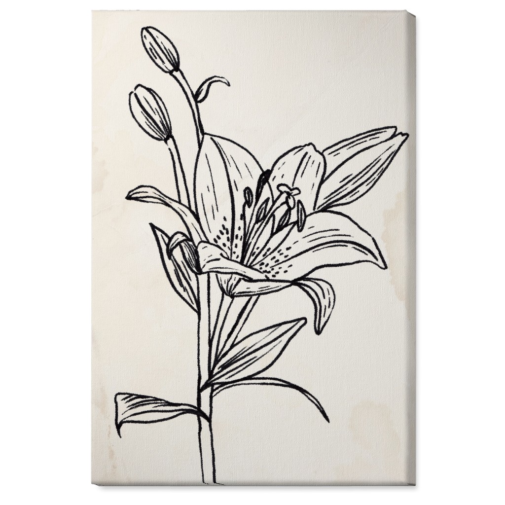 Vintage Lily Sketch - Beige and Black Wall Art, No Frame, Single piece, Canvas, 24x36, Beige, Pearl