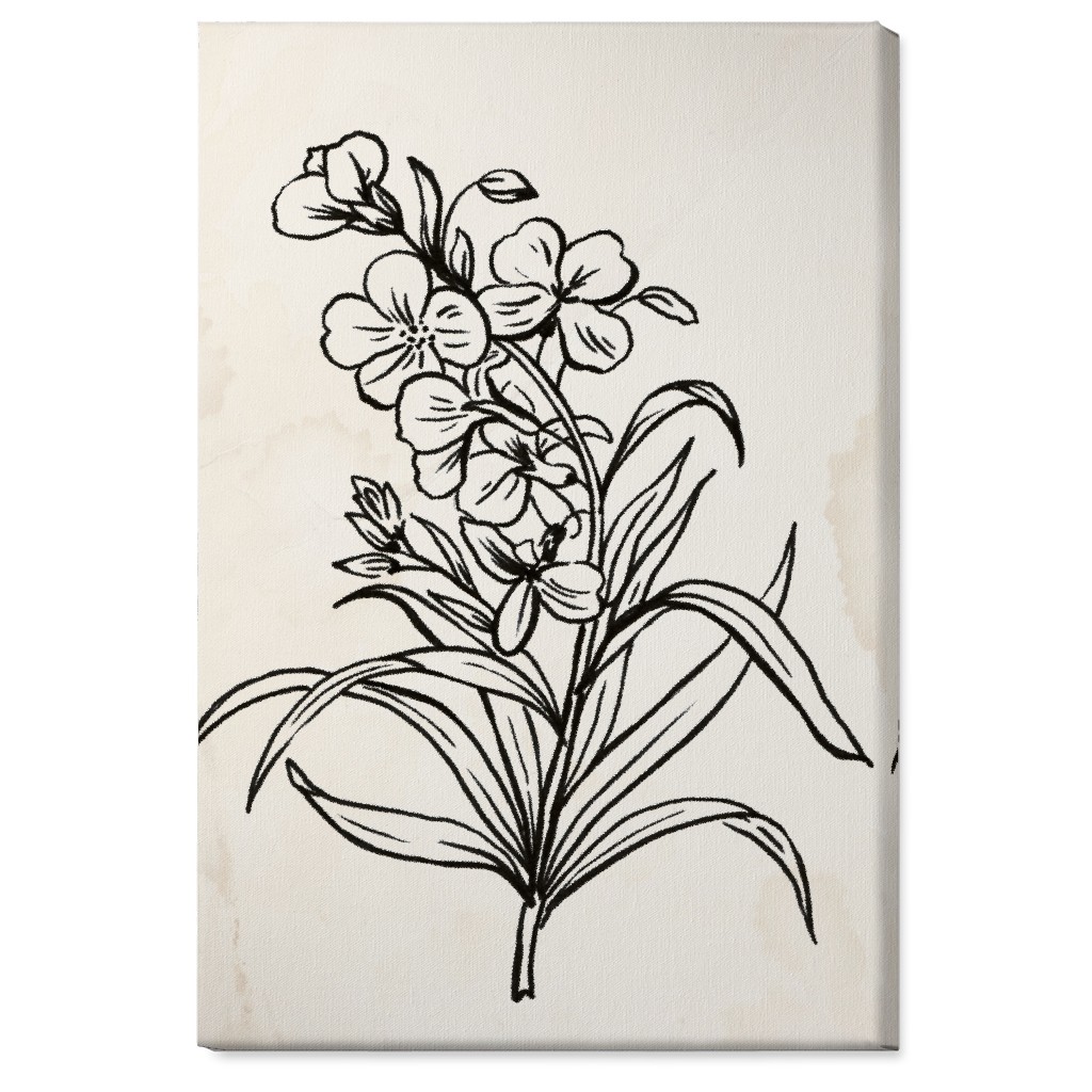 Vintage Wallflower Sketch - Beige and Black Wall Art, No Frame, Single piece, Canvas, 24x36, Beige, Pearl