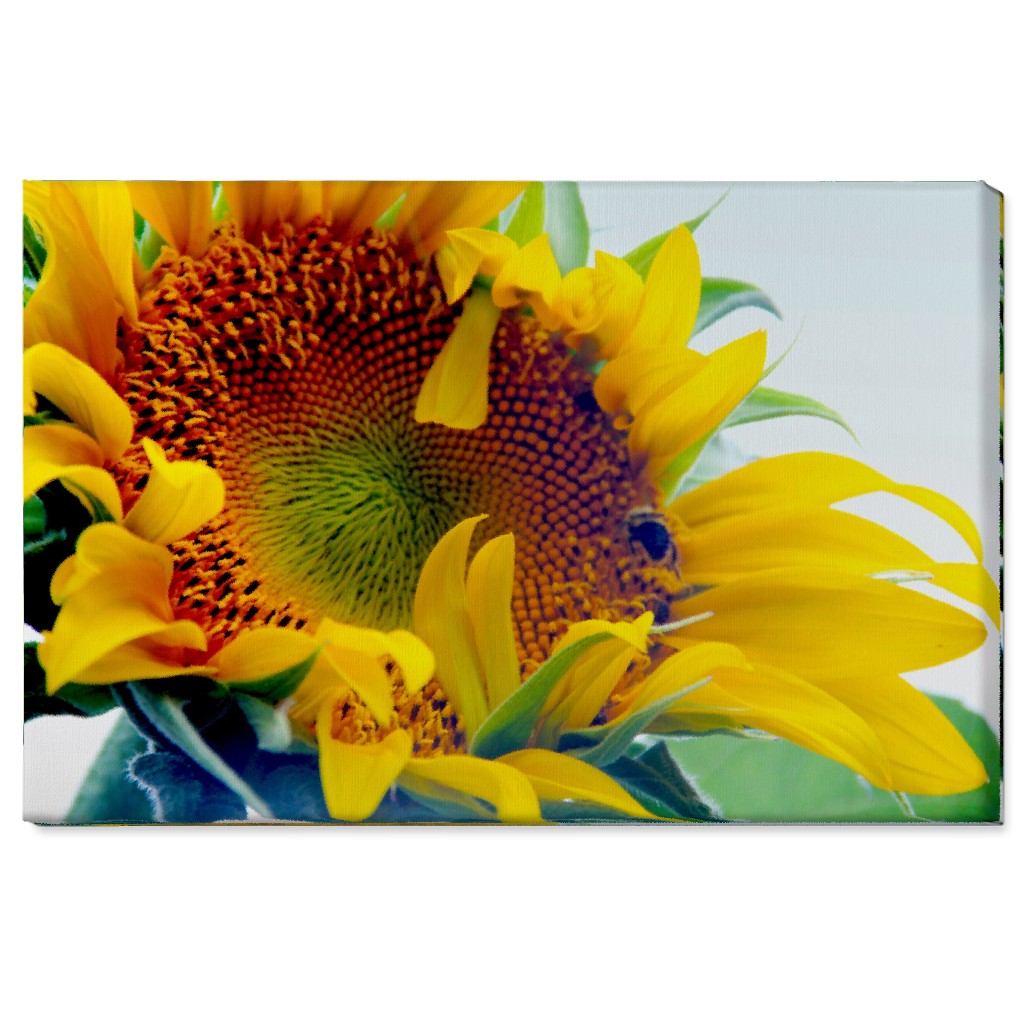 Sunflower and Bee - Yellow Wall Art, No Frame, Single piece, Canvas, 24x36, Yellow