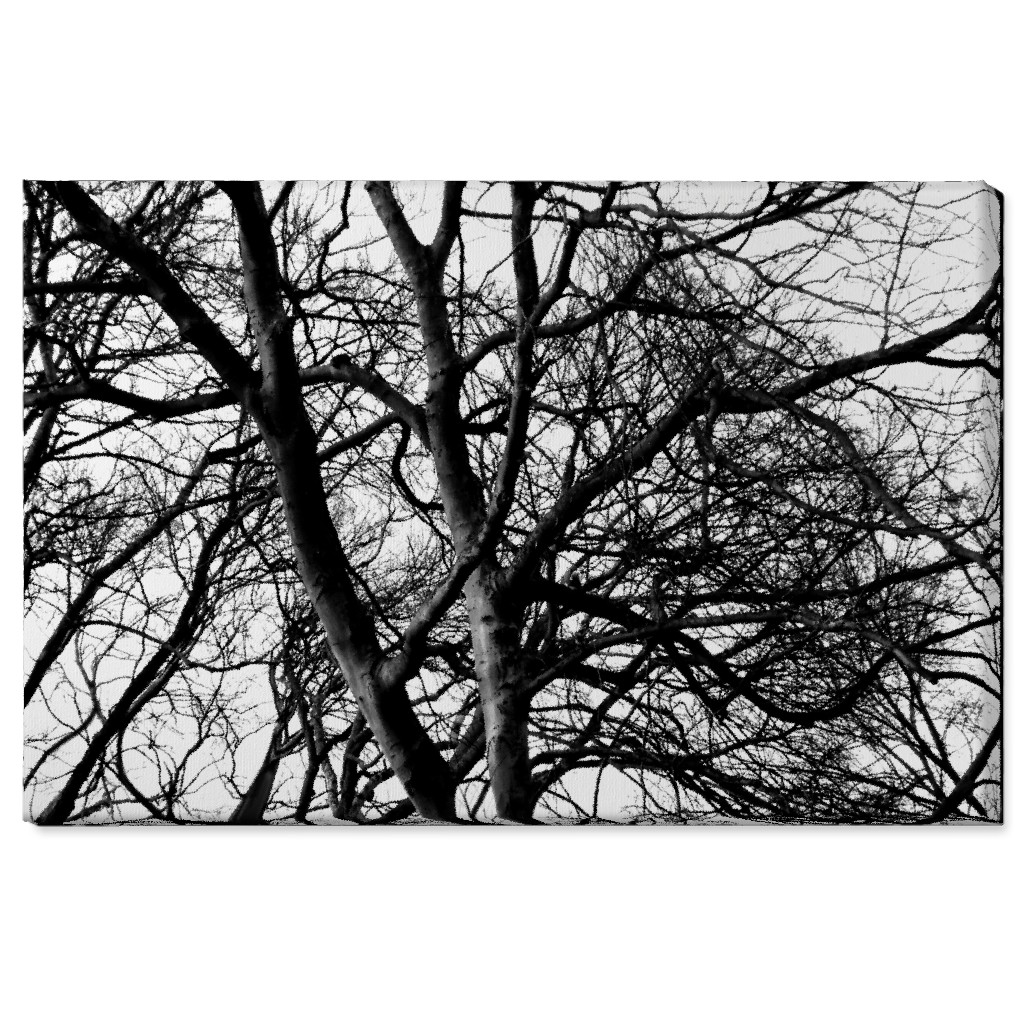 Tree Lace - Neutral Wall Art, No Frame, Single piece, Canvas, 24x36, Black, Black