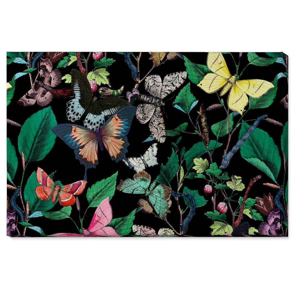 Butterfly Sanctuary - Bright on Black Wall Art, No Frame, Single piece, Canvas, 24x36, Multicolor