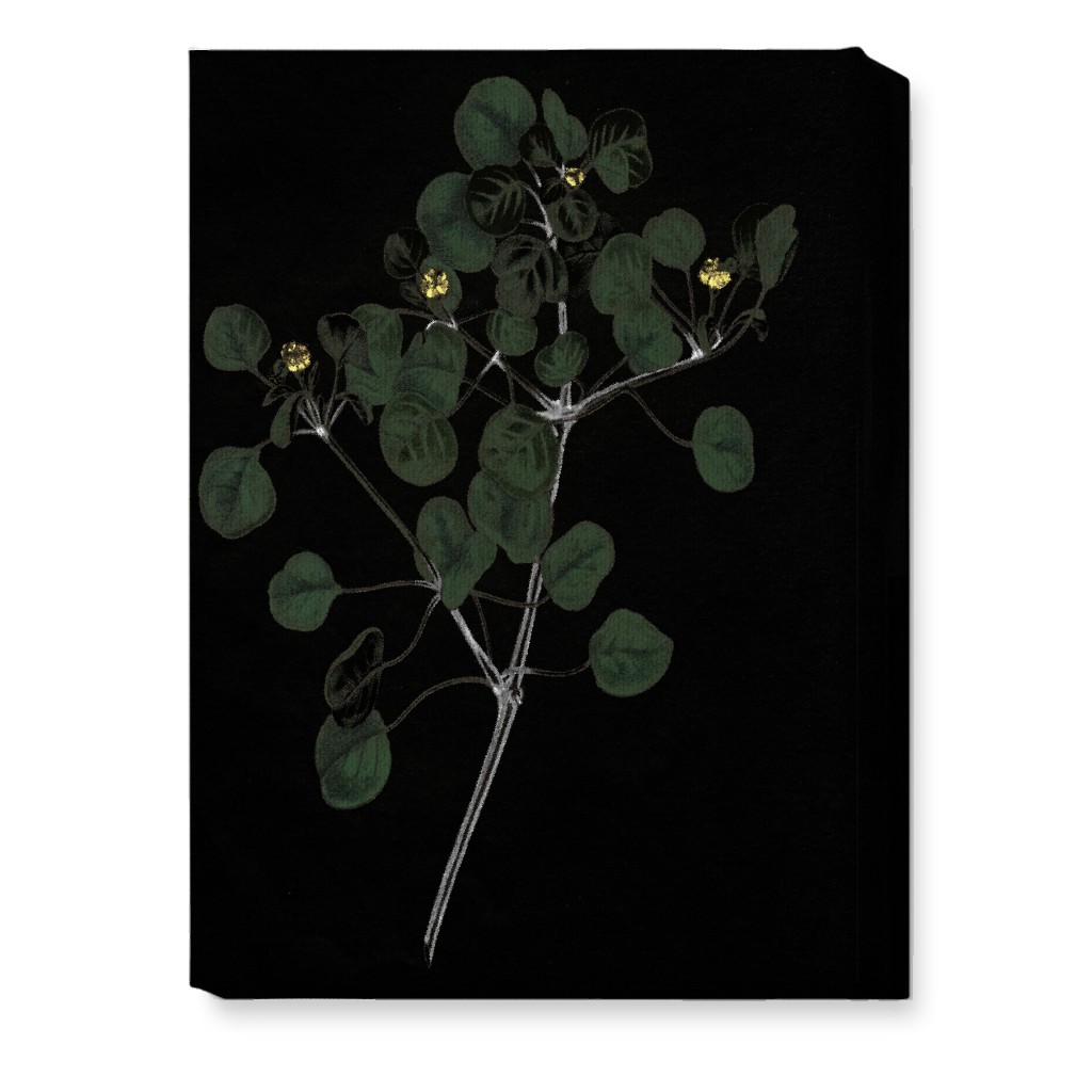 Midnight Botanical Sprig With Leaves - Black and Green Wall Art, No Frame, Single piece, Canvas, 10x14, Black