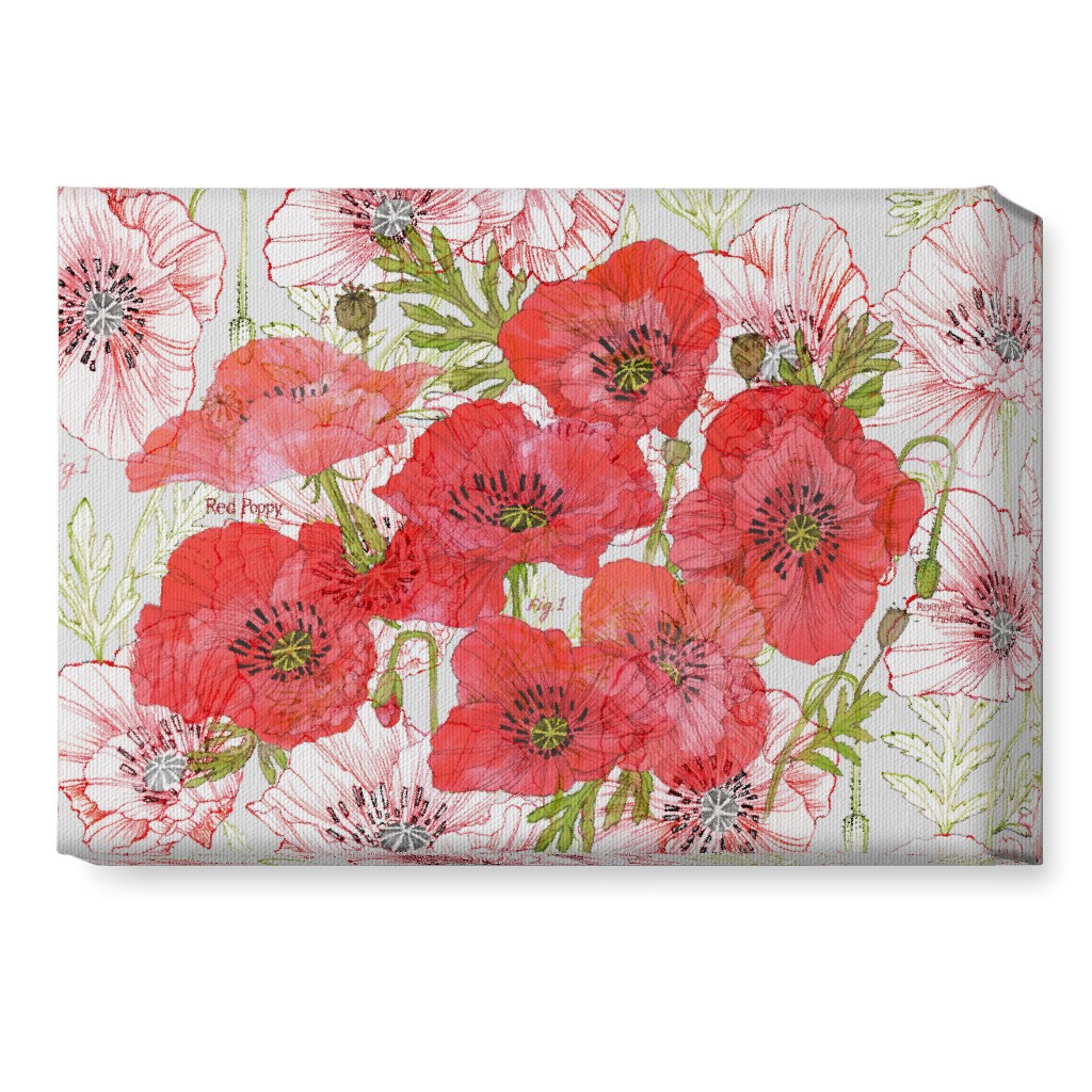 Poppy Romance - Red Wall Art, No Frame, Single piece, Canvas, 10x14, Red