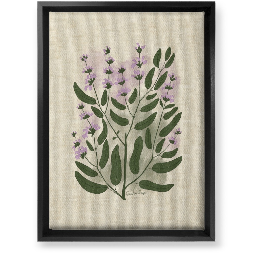 Garden Sage Botanical Illustration Wall Art, Black, Single piece, Canvas, 10x14, Beige