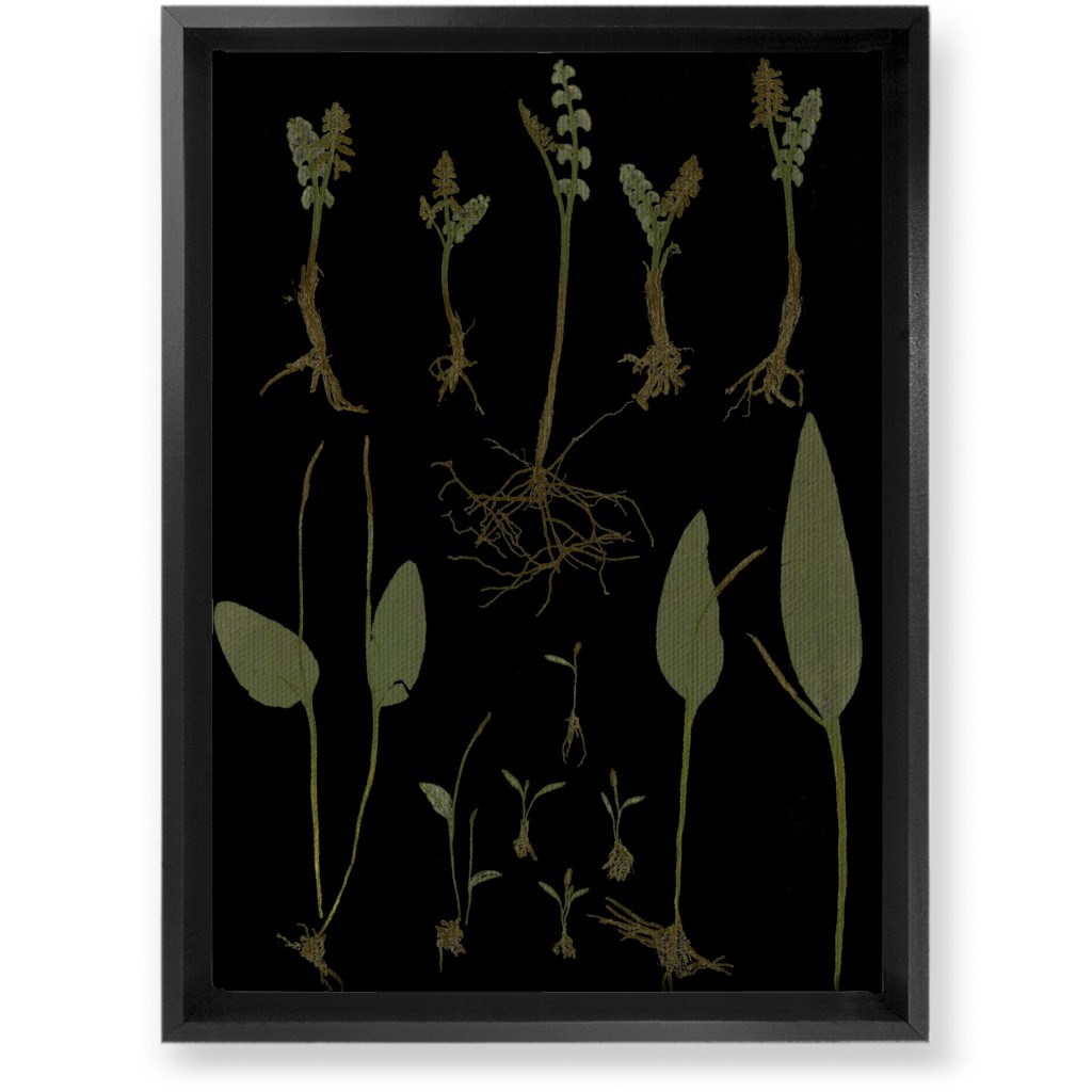Botanicals At Midnight - Black and Green Wall Art, Black, Single piece, Canvas, 10x14, Black, Black