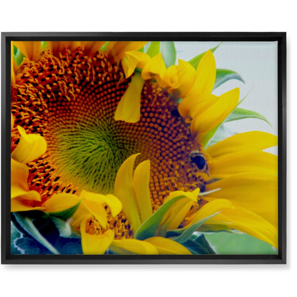 Sunflower and Bee - Yellow Wall Art, Black, Single piece, Canvas, 16x20, Yellow