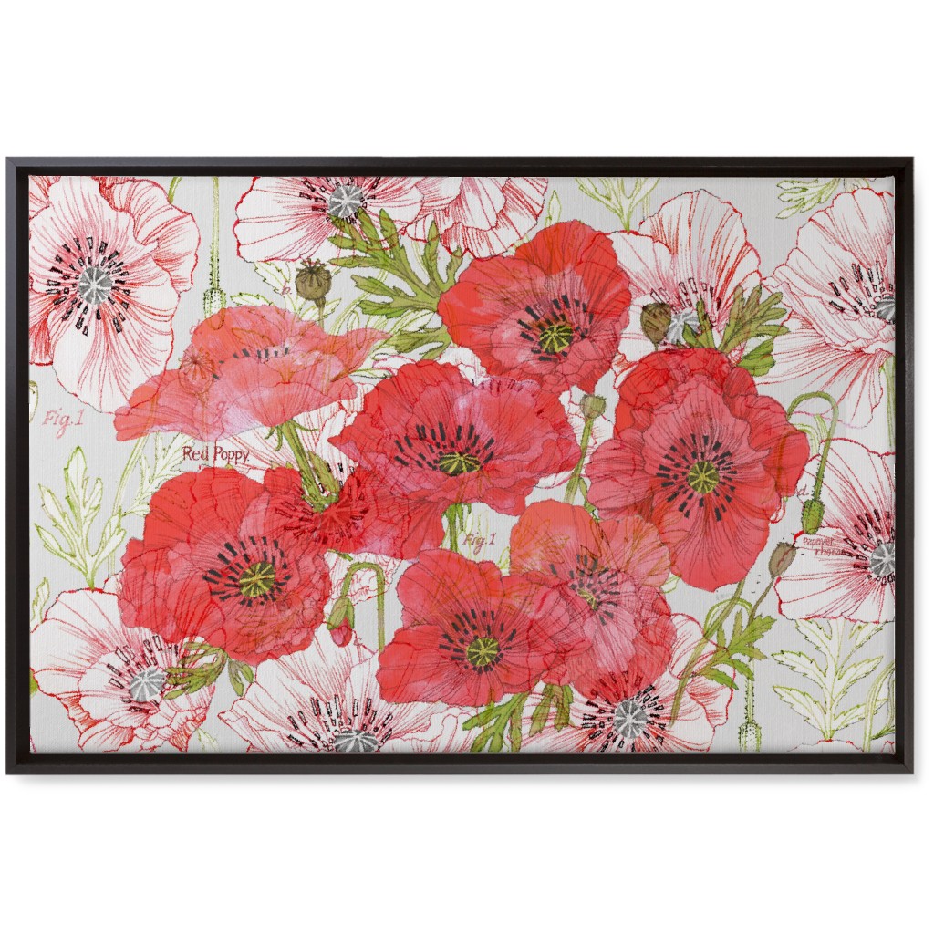 Poppy Romance - Red Wall Art, Black, Single piece, Canvas, 20x30, Red, Red