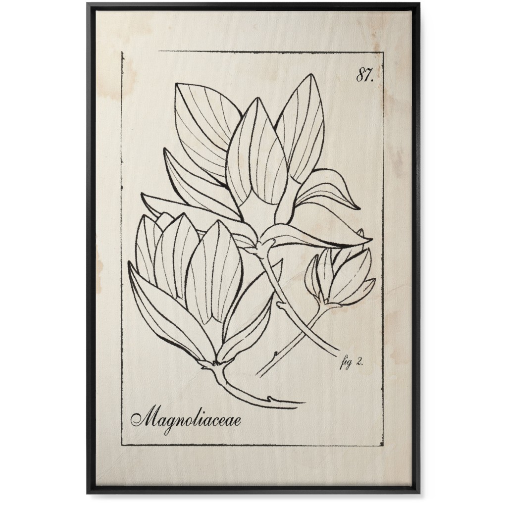 Vintage Plate Magnolia Sketch - Beige and Black Wall Art, Black, Single piece, Canvas, 24x36, Beige, Pearl