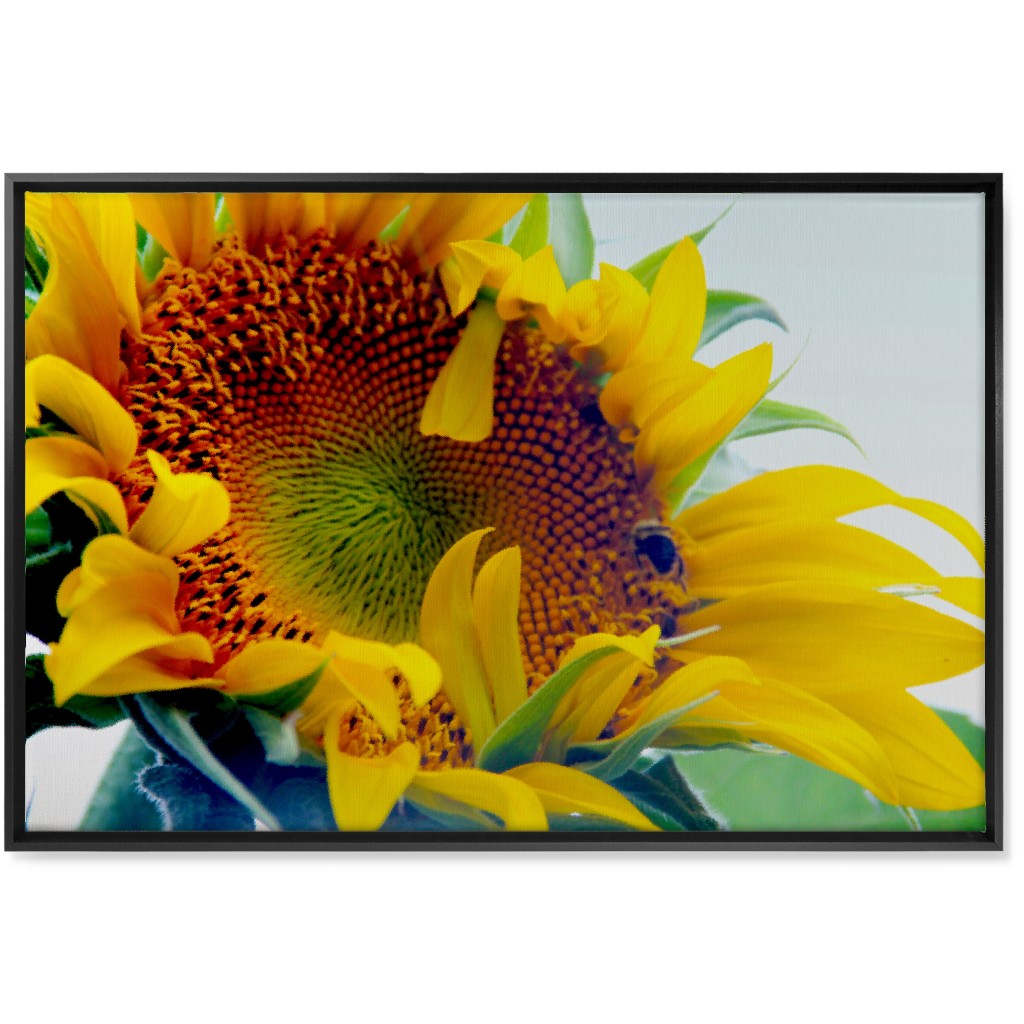 Sunflower and Bee - Yellow Wall Art, Black, Single piece, Canvas, 24x36, Yellow