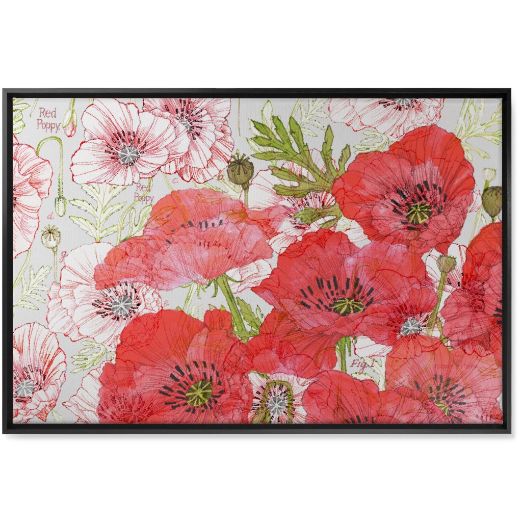 Poppies Romance - Red Wall Art, Black, Single piece, Canvas, 24x36, Red