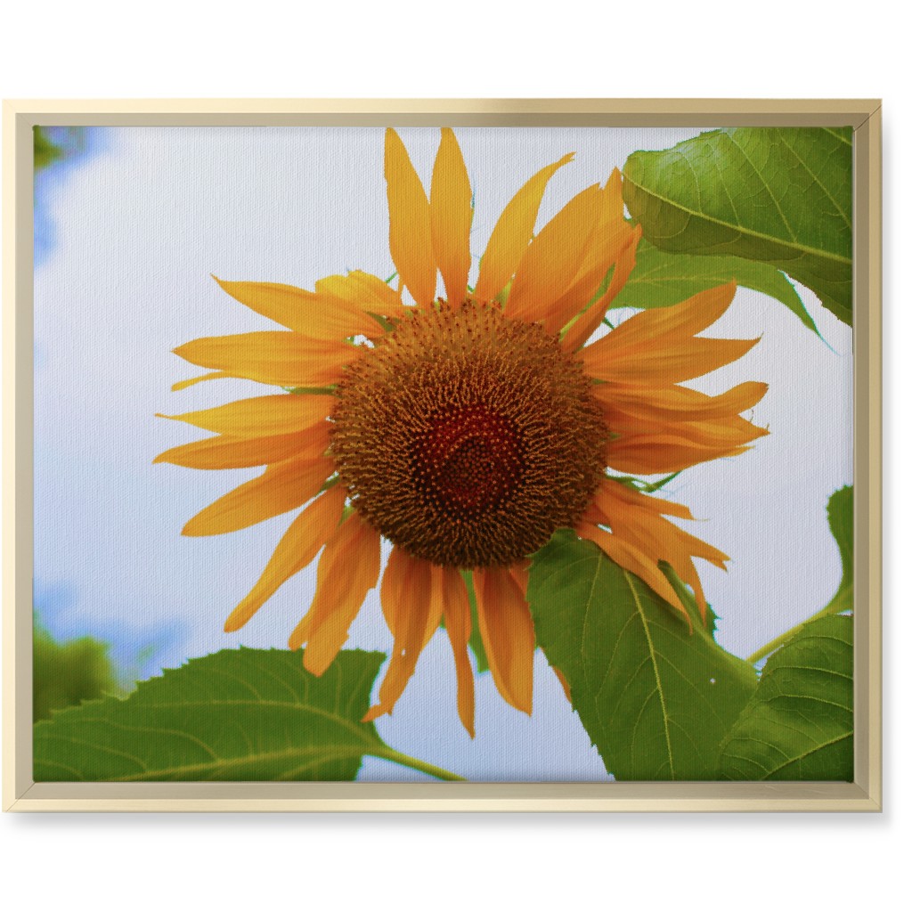 Sunny Sunflower - Yellow Wall Art, Gold, Single piece, Canvas, 16x20, Yellow