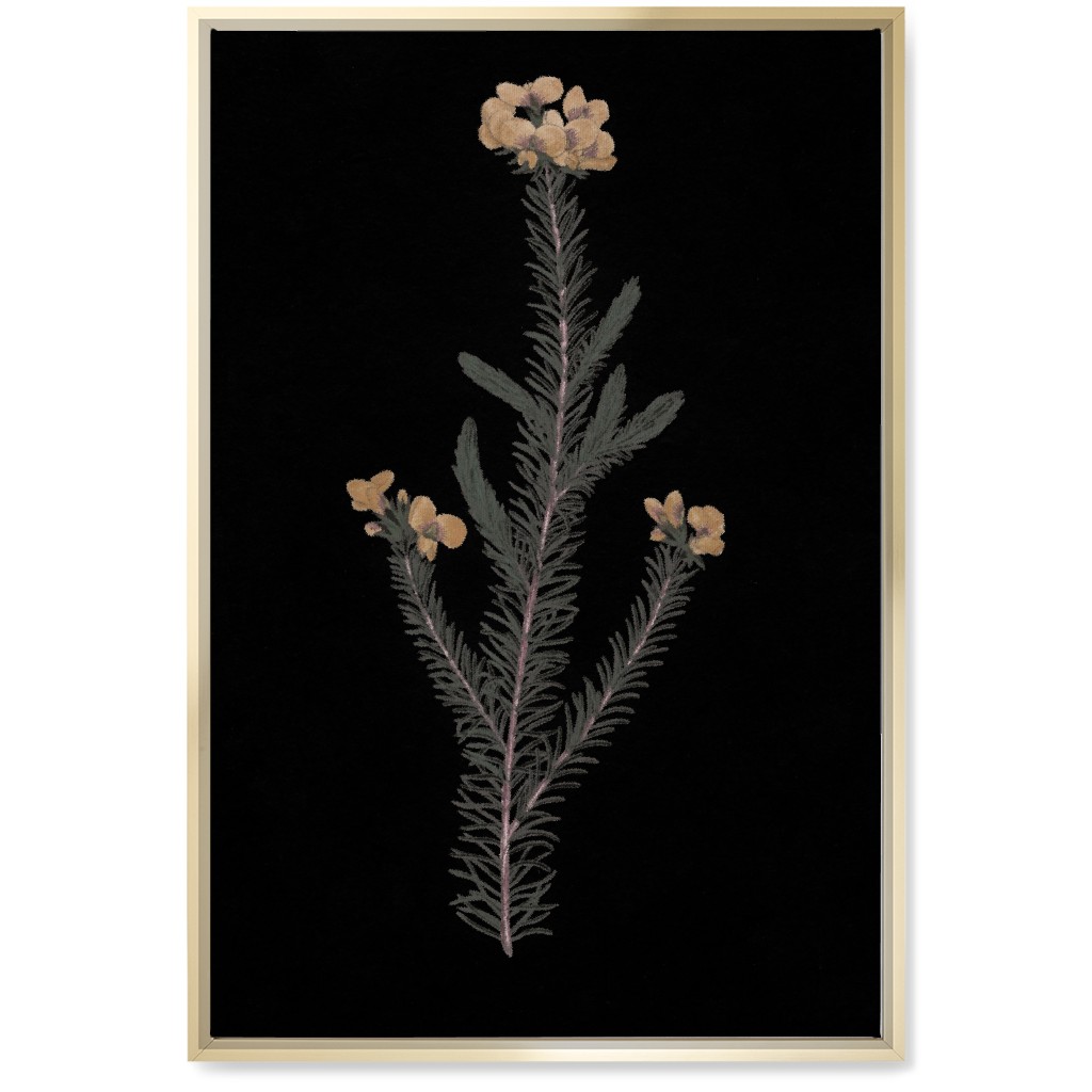 Midnight Botanical - Black and Green Wall Art, Gold, Single piece, Canvas, 20x30, Black